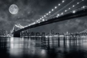 Фотообои Черно белый мост под луной