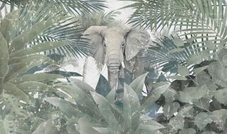 Фотообои Слон в джунглях