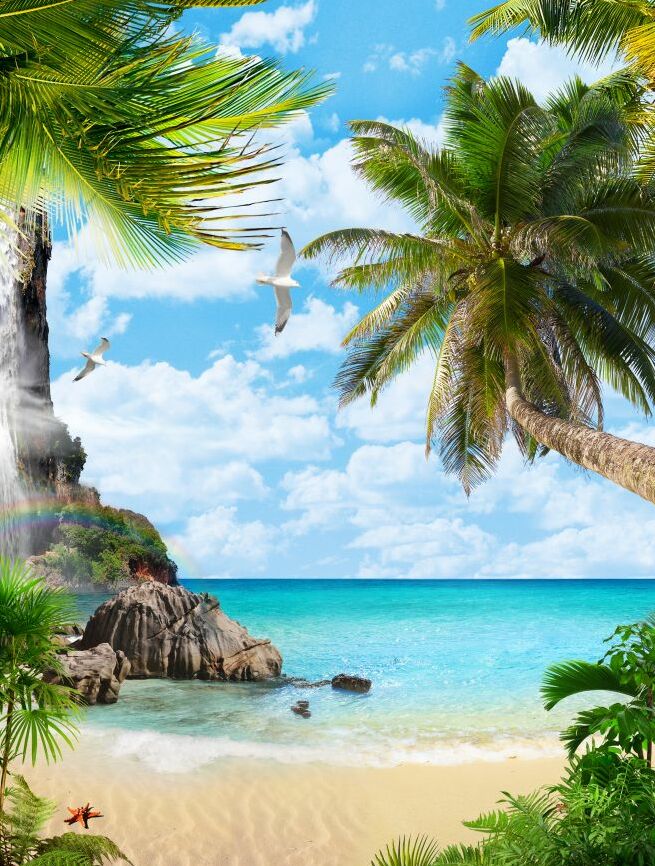 Картина на холсте дикий пляж и пальмы, арт hd0862901