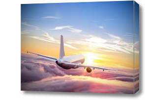 Картина Нежный взлет самолета