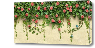 Картина 3D Розы оплетают стену